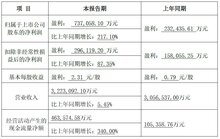 大華股份發(fā)布2023年度業(yè)績預告：營收322.31億元，業(yè)績穩(wěn)步增長