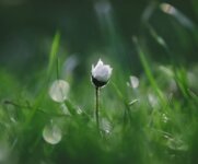 霍曼中國銷售年會成功召開