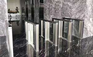 東莞保時(shí)捷大廈速通門案例