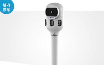 車牌識別系統(tǒng) - SNT-SC600-VS路內(nèi)停車識別一體機(jī)