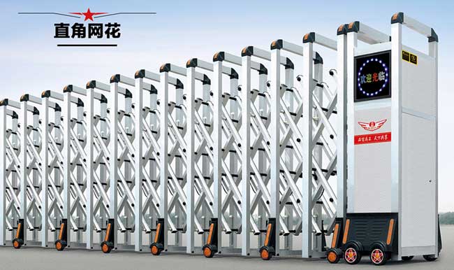 直角網(wǎng)花伸縮門(mén)