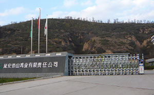 延安勞山雞業(yè)有限責(zé)任公司伸縮門案例