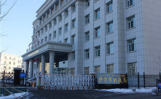 新疆伊寧市財政局伸縮門工程案例