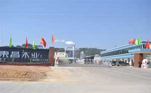 欽州市大寺東昌木業(yè)電動伸縮門案例