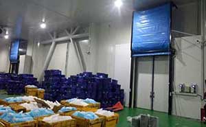 京東冷庫門案例