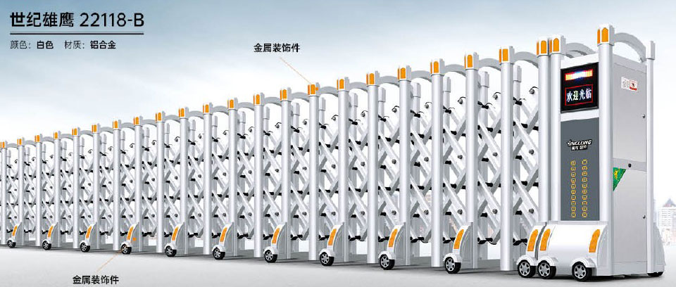 世紀(jì)雄鷹22118-B