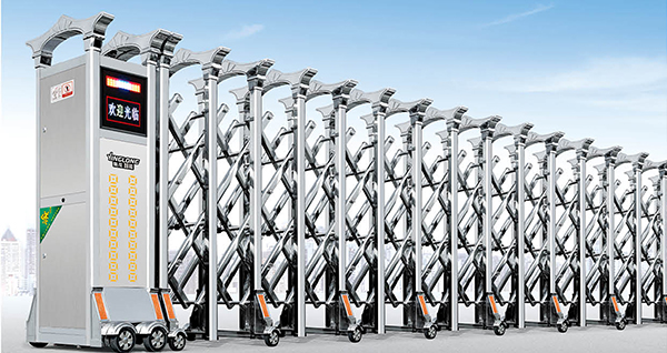 其他 - 大飛鷹22168