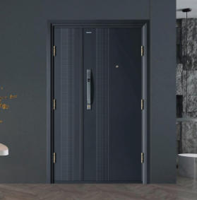 入戶門-K9GBF-P40-0102MM