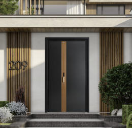 其他 - 系統(tǒng)門-B587