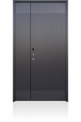 其他 - 裝甲門(mén)LJ186