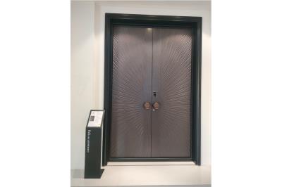 其他 - 別墅大門-日月同輝