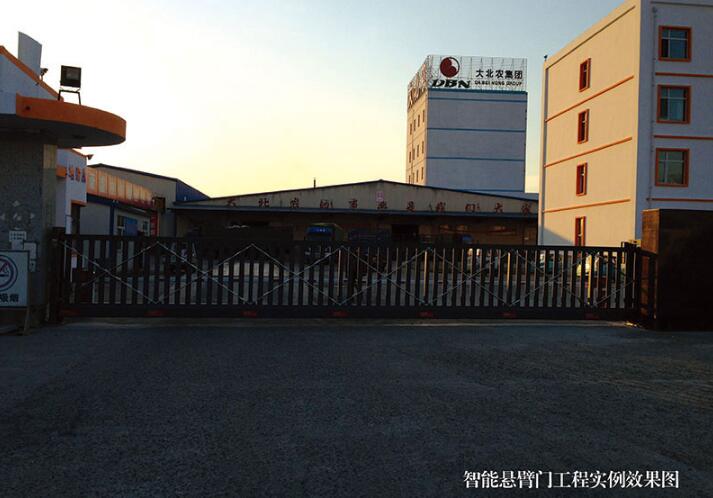 大北農(nóng)集團(tuán) - 中出網(wǎng)-智能出入口與停車充電門戶