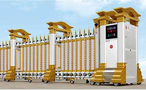 STL 300A不銹鋼電動(dòng)伸縮門