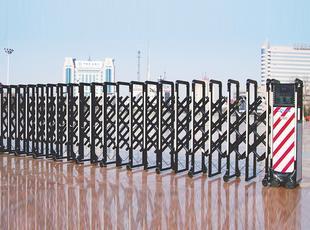 SX-004H-L靚麗彩燈電動(dòng)伸縮門