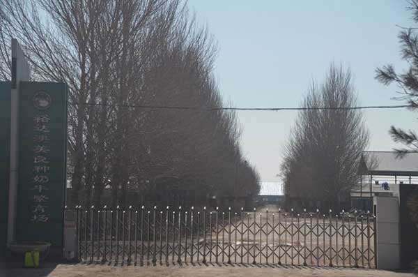 綏化裕達(dá)澳美良種奶牛繁育場電動伸縮門案例 - 中出網(wǎng)-智能出入口與停車充電門戶