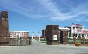 呼倫貝爾滿洲里外交會(huì)館電動(dòng)伸縮門案例