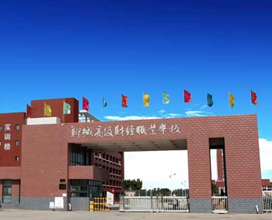 聊城高級財經(jīng)學校電動伸縮門案例 - 中出網(wǎng)-智能出入口與停車充電門戶