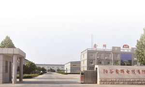 陽谷鑫輝電纜集團伸縮門案例