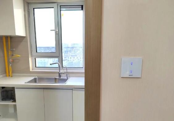 廚房燃?xì)馓綔y器