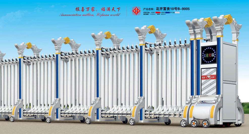 花開富貴10號(hào)B-9005