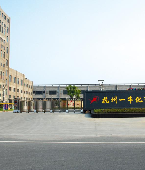 杭州出安智能伸縮門(mén)點(diǎn)綴杭州一?；w有限公司