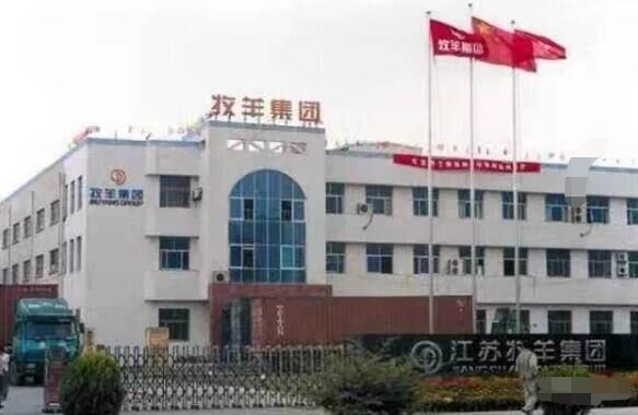 揚州出安智能電動伸縮門亮相在江蘇牧羊集團有限公司大門口