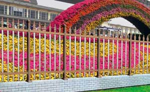 寧德恒大御景半島鋁藝護欄案例