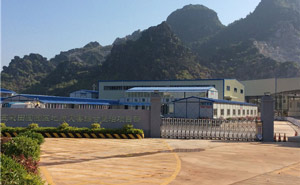 玉林五彩田園電動(dòng)伸縮門案例