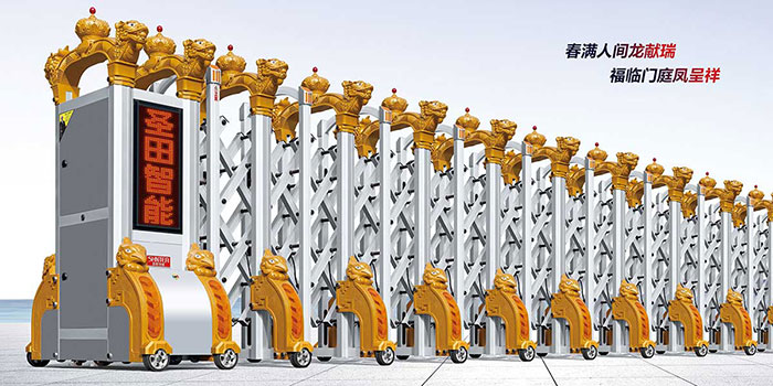 其他 - ST龍鳳呈祥（金色+銀色）