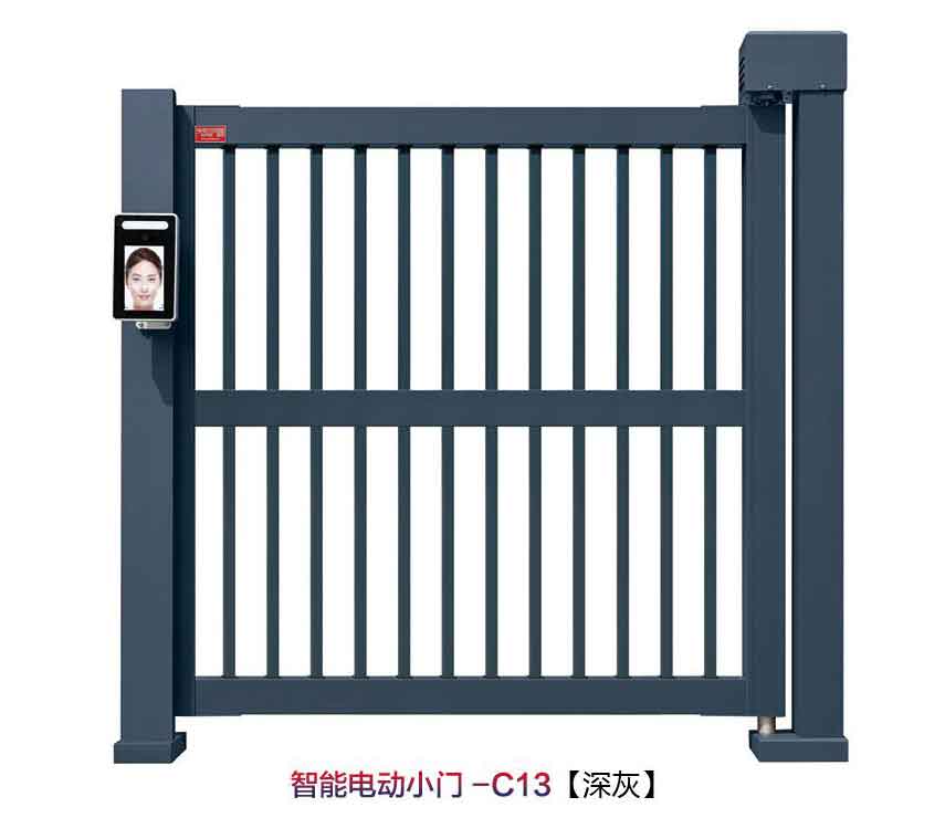 智能電動(dòng)小門(mén)C13