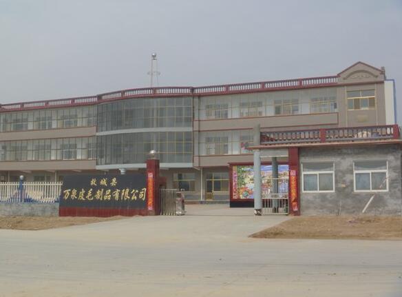 祝賀故城縣萬(wàn)泉皮毛制品有限公司迎來(lái)衡水出安智能電動(dòng)伸縮門