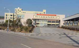 衢州浙江火藍(lán)科技電動伸縮門案例