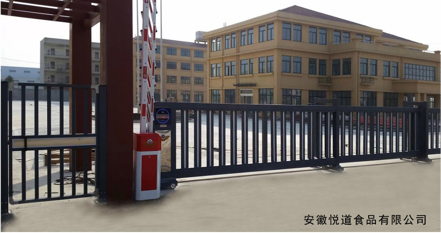 六安出安智能懸浮平移門進(jìn)駐安徽悅道食品有限公司