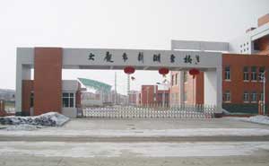 大慶新潮學(xué)校伸縮門案例