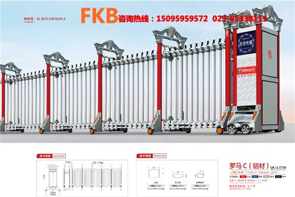 電動(dòng)門(mén)羅馬C鋁材
