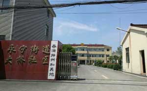 永寧街道大橋社區(qū)電動(dòng)伸縮門工程