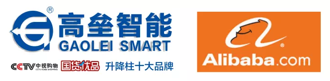 阿里巴巴企業(yè)外貿(mào)國(guó)際站戰(zhàn)隊(duì)團(tuán)隊(duì)蒞臨我公司考察指導(dǎo)工作