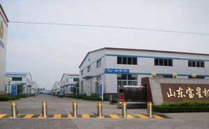 山東寶星機(jī)械有限公司升降柱案例