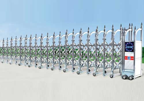 櫻槍網(wǎng)花DH-020伸縮門