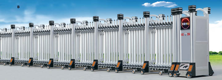 B巨無(wú)霸系列電動(dòng)伸縮門