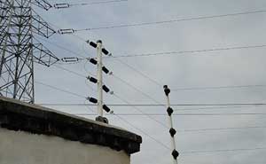 廈門金磚會議電子圍欄案例