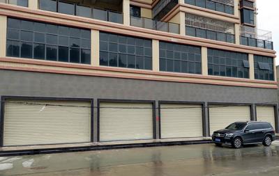 其他 - 彩鋼抗風版卷閘門