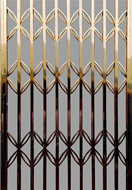 其他 - 金錢型不銹鋼玫瑰金拉閘門