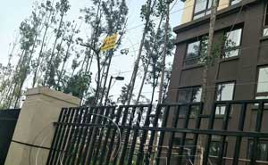 重慶昕暉?香緹時光小區(qū)電子圍欄案例 - 中出網(wǎng)-智能出入口與停車充電門戶