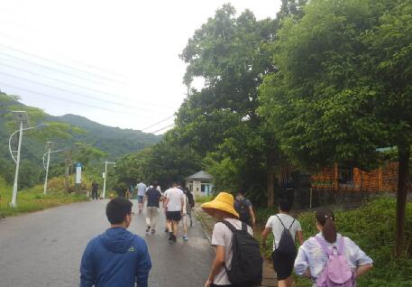 金科選擇了馬巒山郊野公園一日游